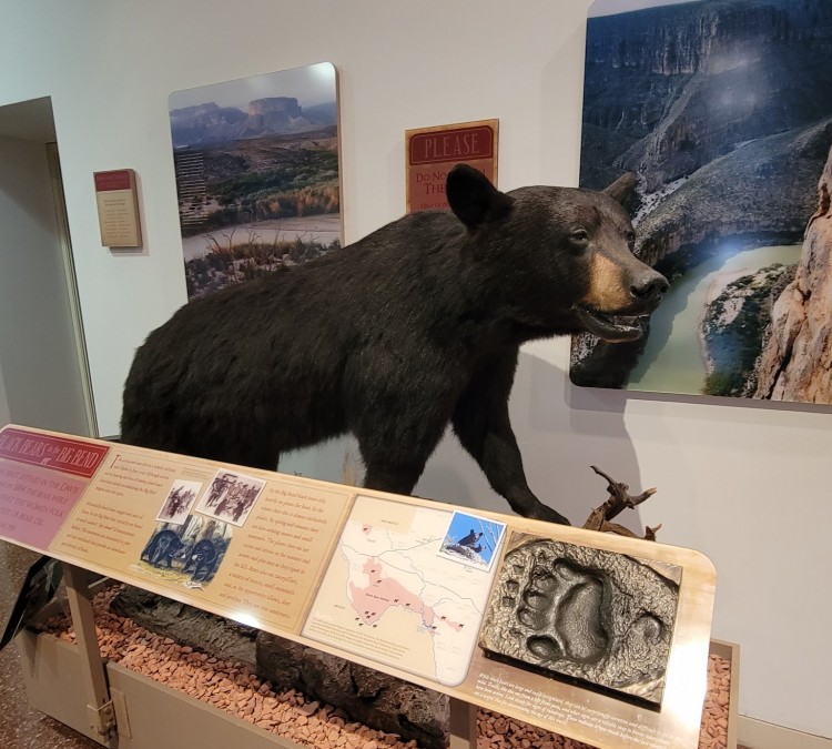 Museum of the Big Bend (Alpine,&nbspTX)